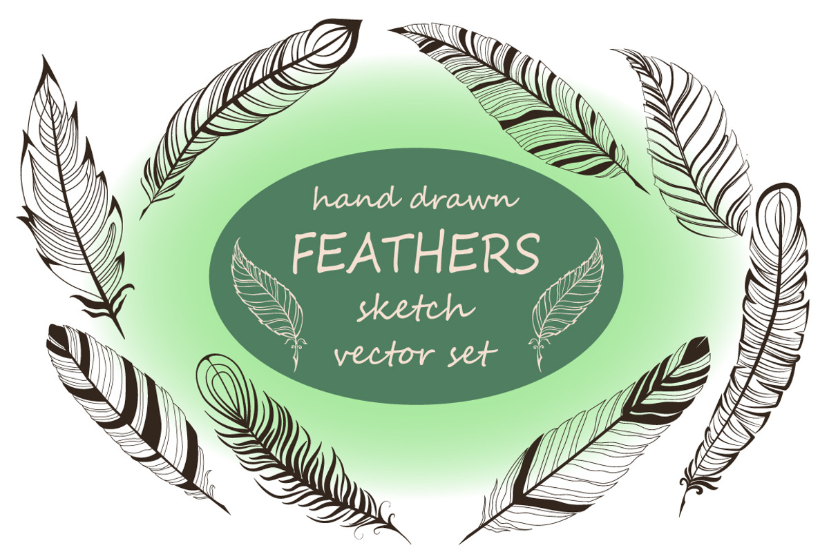 Feathers hand drawn set, a Decorative Illustration by Tierre3012 (Photo 1 of 5)