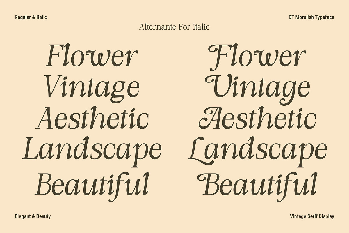 DT Morelish - Serif Display, a Serif Font by Dryy.type (Photo 5 of 12)