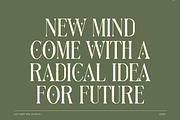 Anova a Elegant & Modern Serif, a Serif Font by Lettertype Studio (Thumbnail 9 of 15)