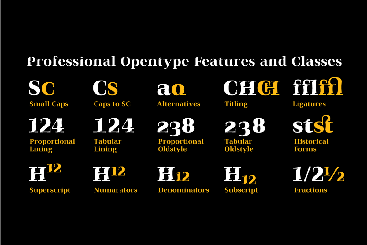 Qualitype Variable Family, a Serif Font by BULENT YUKSEL (Photo 7 of 14)