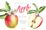 Watercolor Apple: whole and half, a Graphic by Akvarelldesign (Thumbnail 1 of 2)