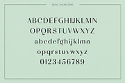 Adagio Decorative Ligature Font Duo, a Sans Serif Font by Studio Aurora (Thumbnail 3 of 12)