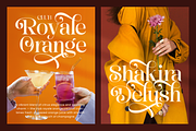 Dashling - Bold Modern Stylish Serif, a Serif Font by Shakira Studio (Thumbnail 3 of 10)