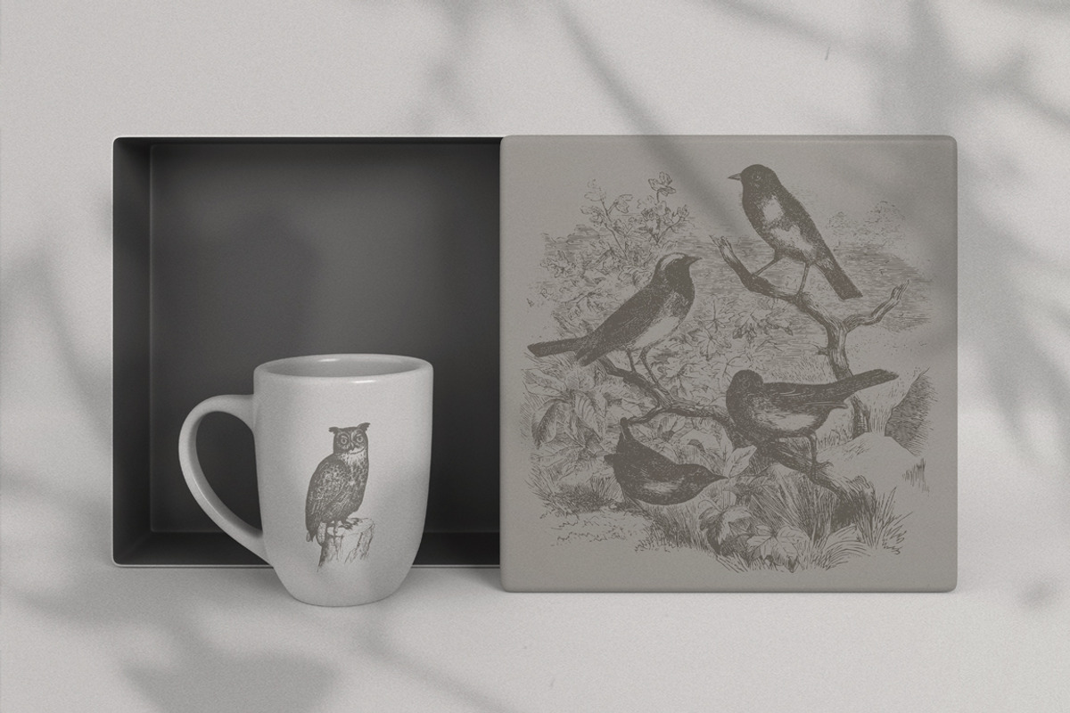 Vintage Bundle 2500+ Free Update, an Animal Illustration by Retro Machine (Photo 125 of 170)