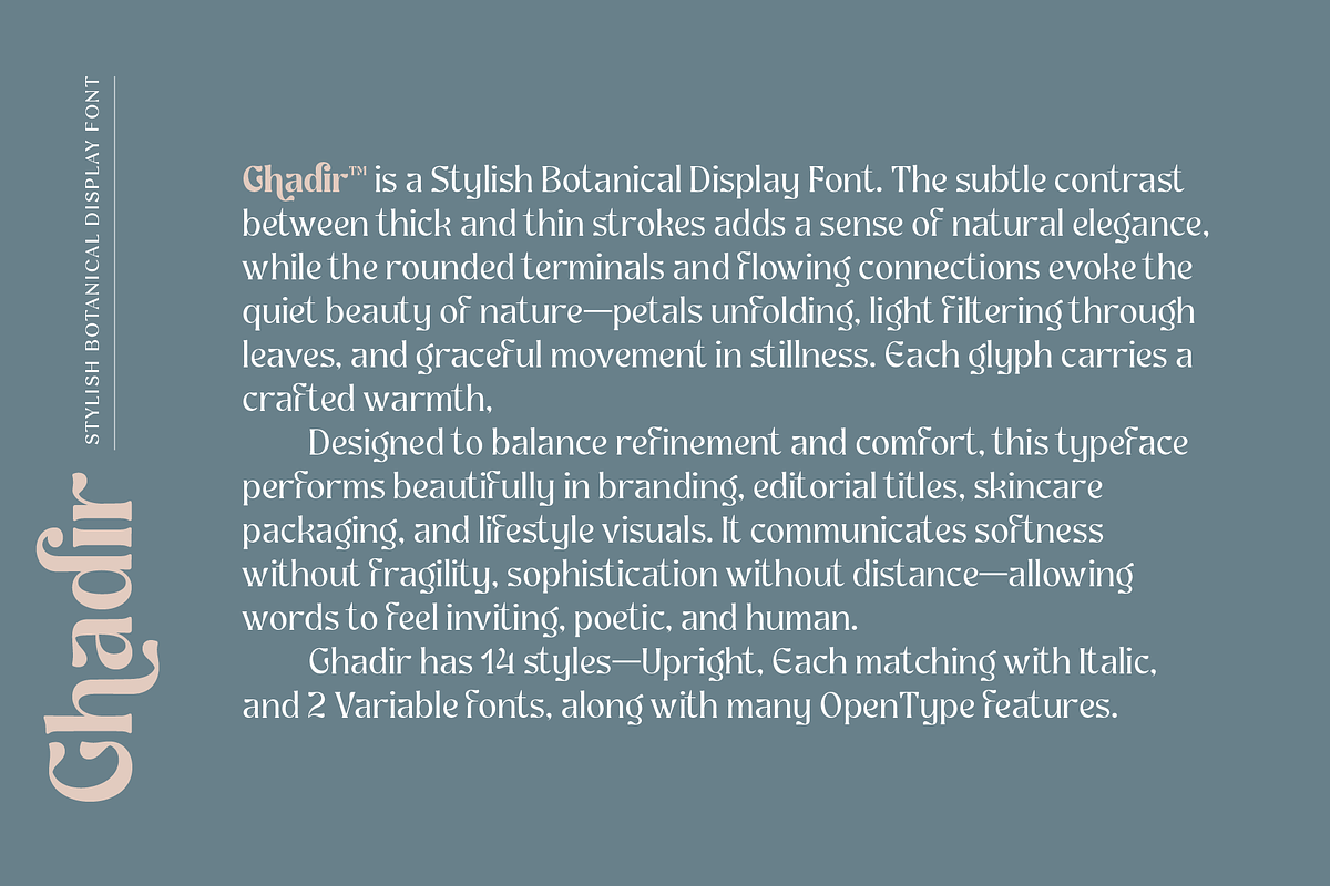 Ghadir, Botanical Display Font, a Sans Serif Font by Namela Studio (Photo 4 of 10)