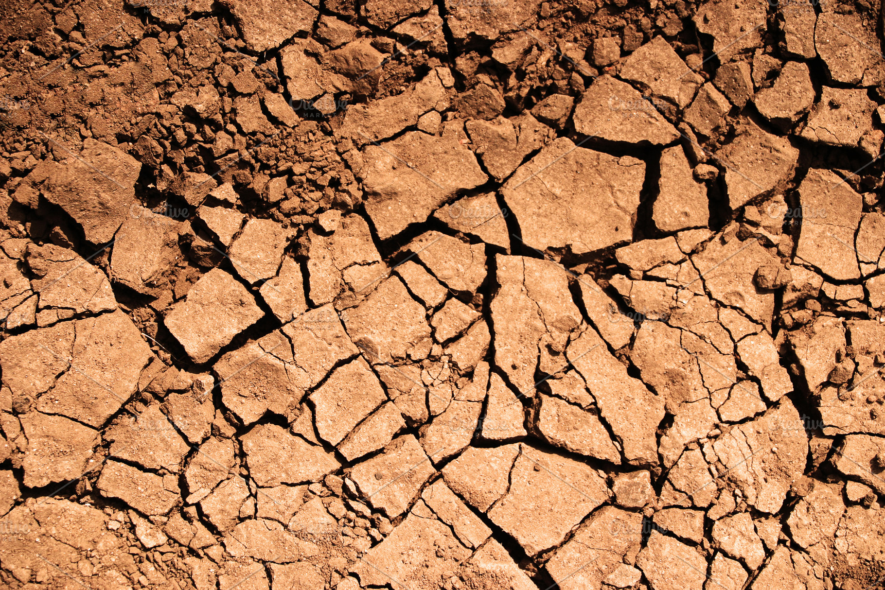 Cracked earth, a Photo by saiko3p