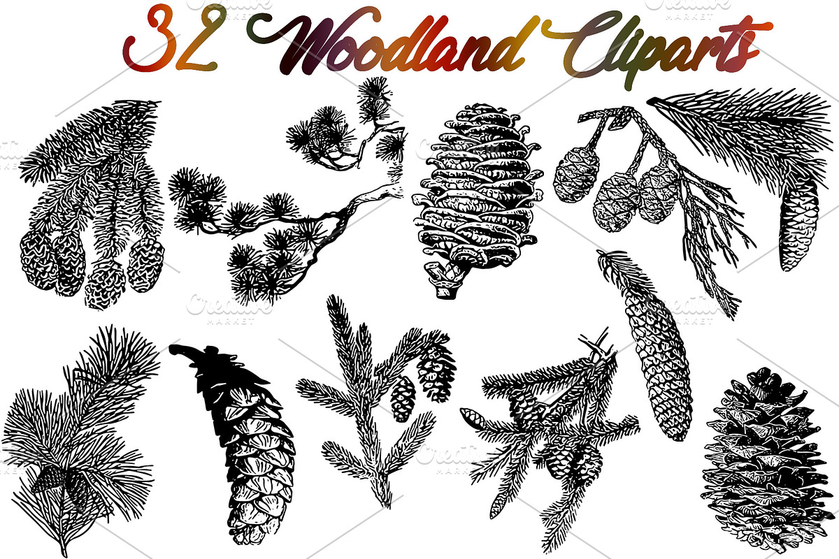 Sale 50% OFF 32 Woodland vectors, an Object Graphic by Alexandra Fulger (Photo 3 of 5)