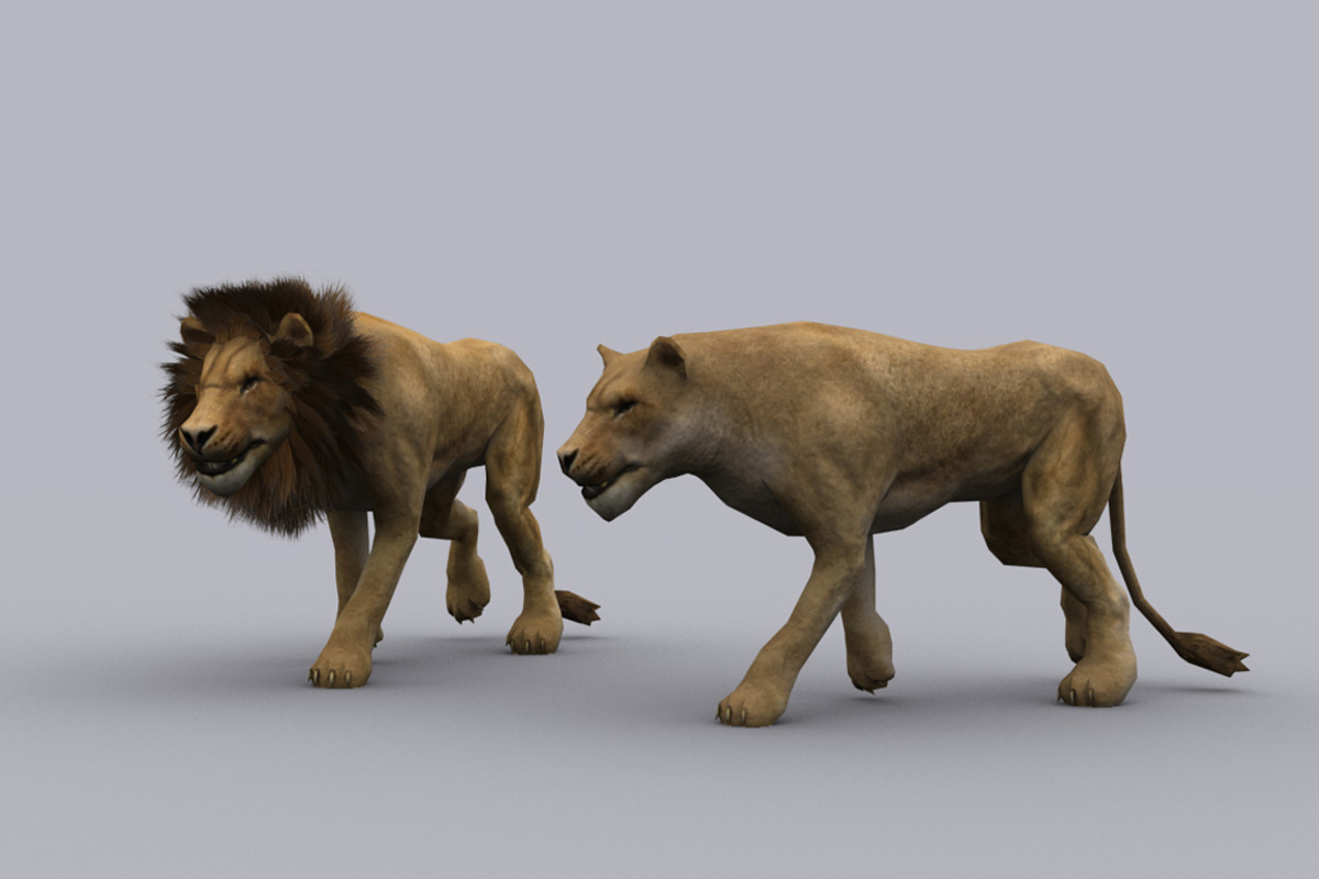 LION and LIONESS fbx only, an Animal 3D Model by PROTOFACTOR