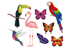 Exotic And Tropical Birds And