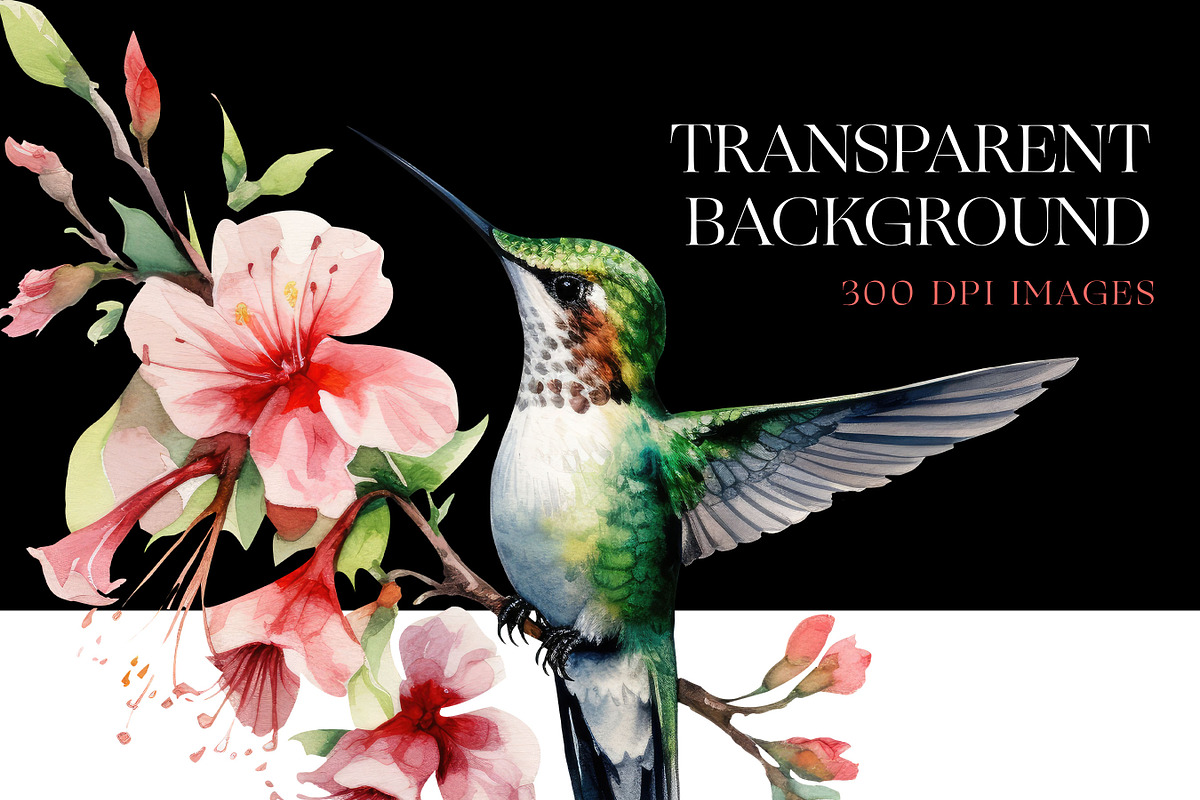 Hummingbird Clipart, Hummingbirds, an Animal Illustration by BrushstrokeArtGB (Photo 6 of 8)
