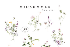 MIDSUMMER Watercolor Wildflowers