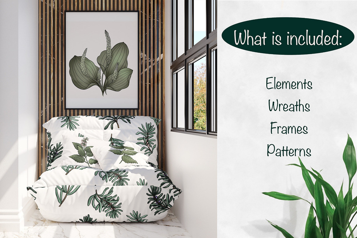Herbal collection, a Decorative Illustration by sizileon (Photo 2 of 11)