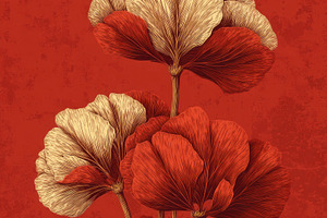 Elegant red and cream poppy flowers with fine line textures on a, a Nature Photo by José Manuel Gelpi