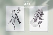 Garden bird. Pattern and motifs., a Pattern Graphic by AnaGuziiArt (Thumbnail 6 of 15)