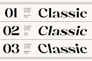 CS Albert – Classic Font, a Serif Font by Craft Supply Co. (Thumbnail 2 of 8)