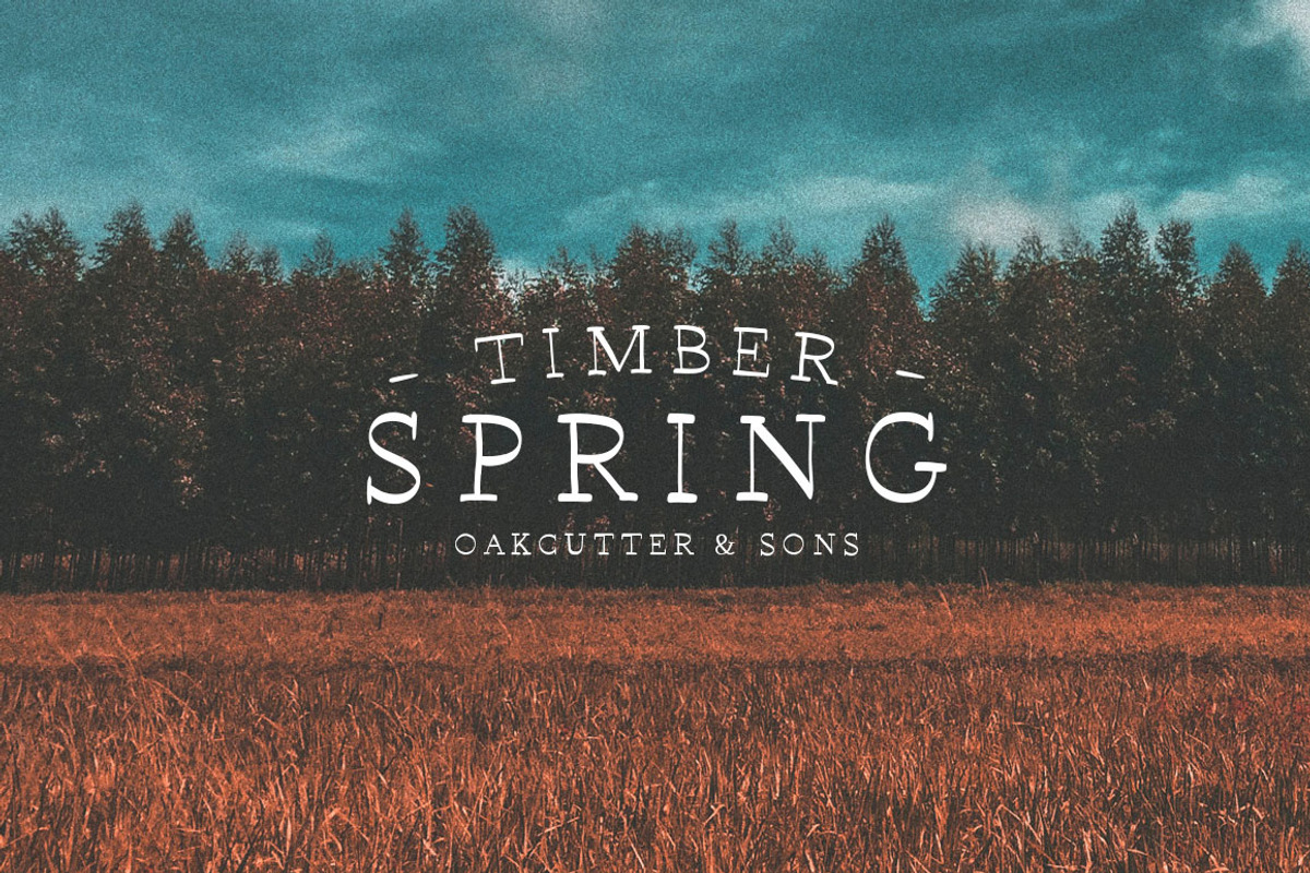 Wonderland Fonts Pack & Branding Kit, a Script Font by Graphicdome (Photo 114 of 118)