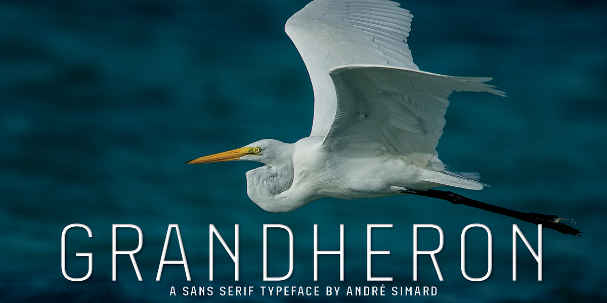 Grandheron Sans, a Sans Serif Font by André Simard (Photo 1 of 13)