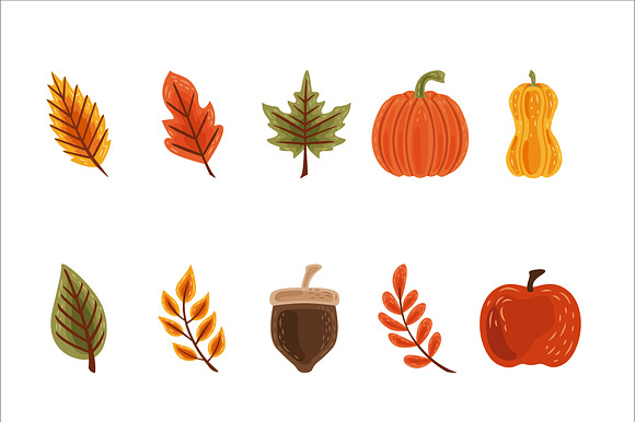 Autumn Harvest Illustration Set preview 2