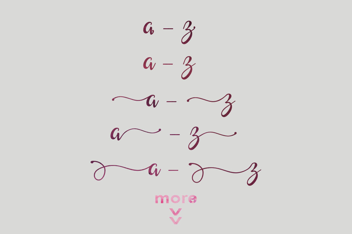 Saldina Script, a Script Font by vanroem (Photo 11 of 13)