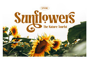 Rosiana - Modern Serif, a Serif Font by Arterfak Project (Thumbnail 9 of 13)