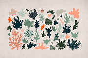 Wild cats. Jungle & tropical set., an Animal Illustration by Alona Savchuk (Thumbnail 5 of 15)