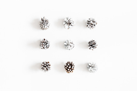Pine cones featuring winter, christmas, and cone, a Nature Photo by Flaffy