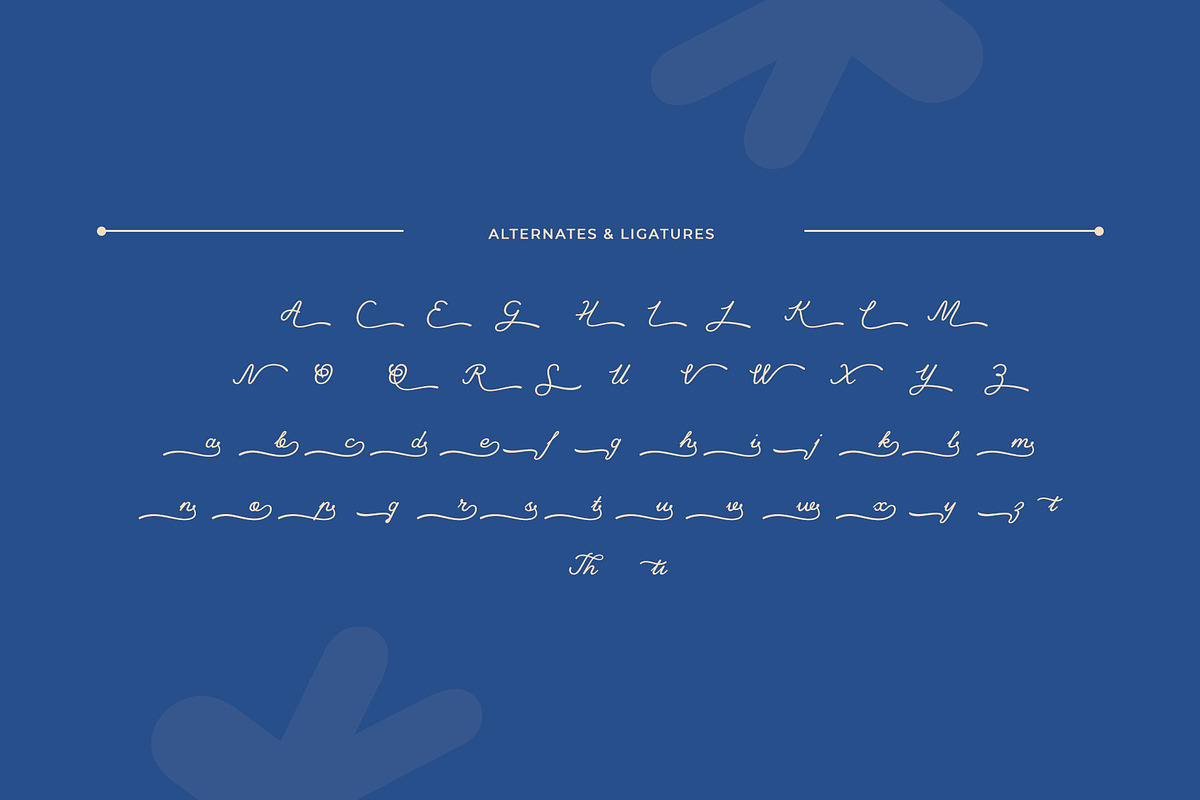 Mandy – Script Font, a Script Font by Almeera Std (Photo 8 of 10)