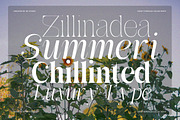 Awesome Gulgina Complete | 243 Fonts, a Serif Font by IM Studio (Thumbnail 8 of 15)