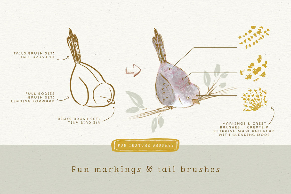 Procreate Bird Drawing Toolkit, a Brush Add-On by Lisa Glanz (Photo 6 of 13)