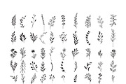 170 Wildflowers Line Art Botanicals, an Illustration by LifestyleCraftCo (Thumbnail 5 of 7)