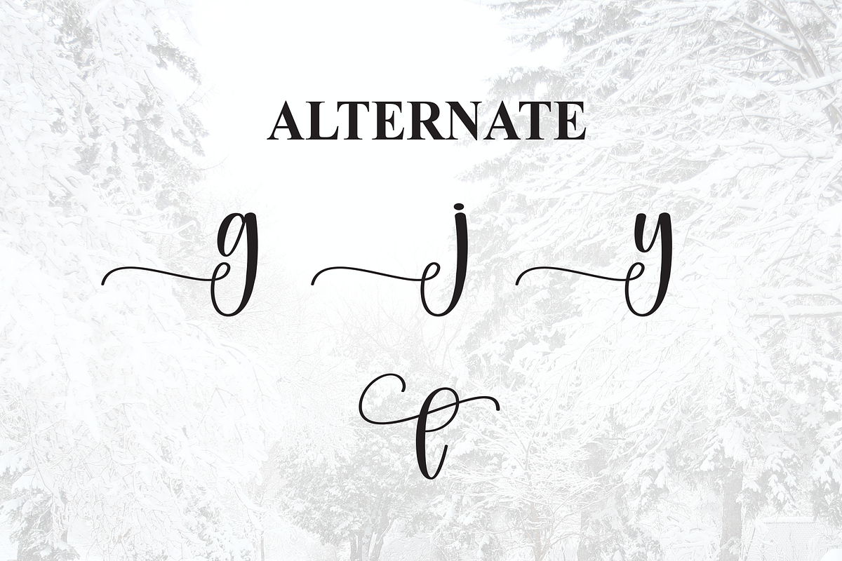 Winterly | Script Font, a Handwritten Font by Scratchones (Photo 8 of 9)