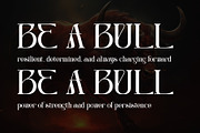 Centibillionaire, a Serif Font by Letterara (Thumbnail 3 of 13)