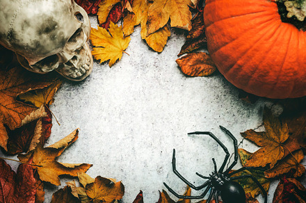 Halloween party decoration concept, a Holiday Photo by esthermm
