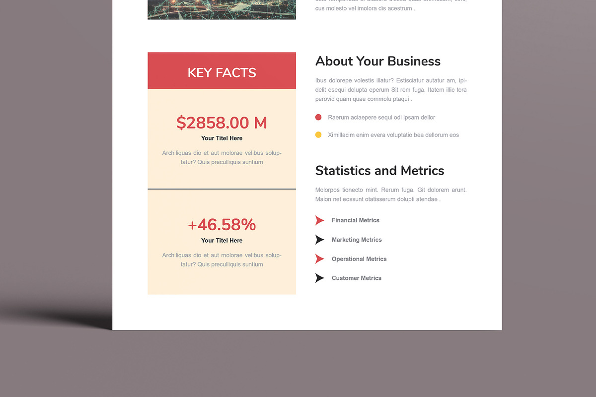 Business Fact Sheet Flyer, a Flyer Template by MightyDesign (Photo 3 of 8)