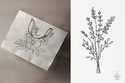 WILDFLOWER LINE ART, an Object Illustration by Kate Art (Thumbnail 14 of 22)