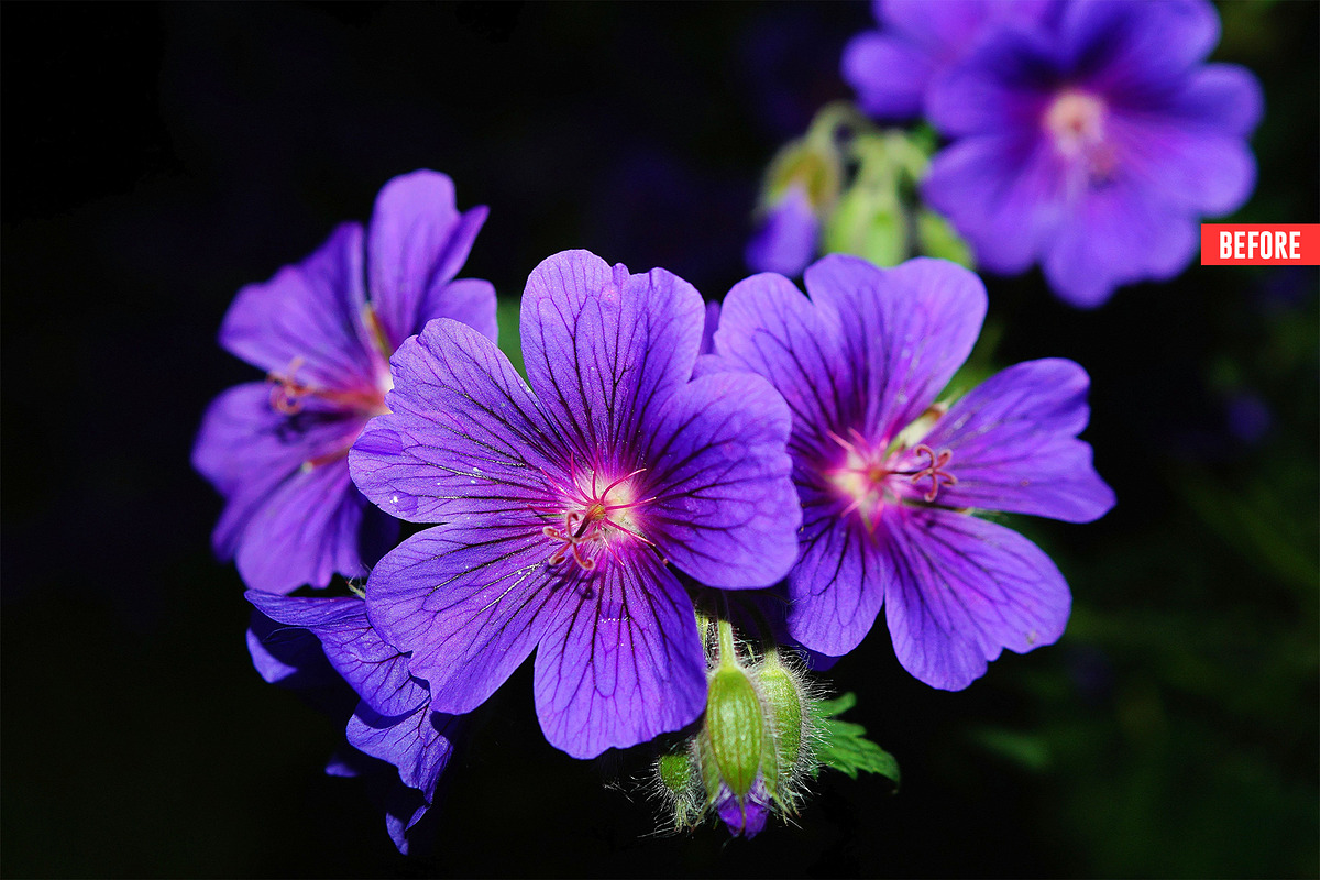 Pure Watercolor Photoshop Action, an Action Add-On by Design Forest (Photo 30 of 32)