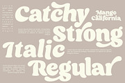 Mango California Serif Font, a Serif Font by roomspace creative lab (Thumbnail 11 of 15)