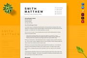 USA Job Market Resume Template, a Resume Template by Nur Designer (Thumbnail 2 of 4)