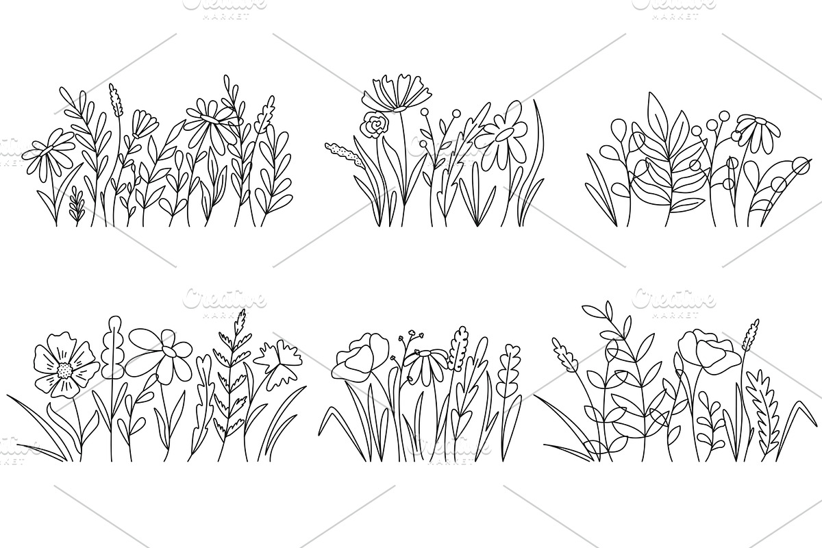 Groups of field herbs, plants and, an Object Illustration by Tati_Kli