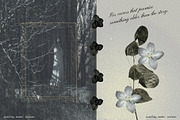 Moody Autumn Ephemera Collage Kit, an Object Graphic by Anzhelika (Thumbnail 7 of 10)
