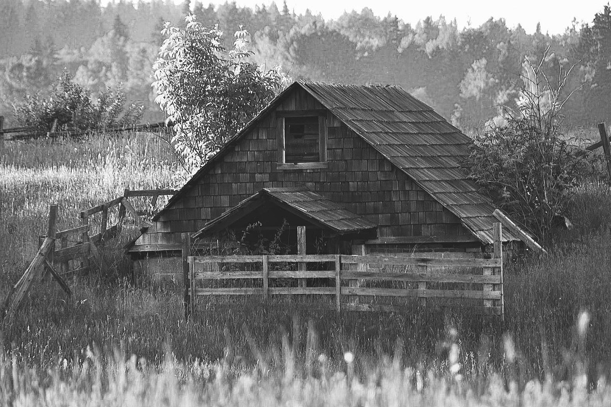 10 Matte B & W Landscape Drama preview 8