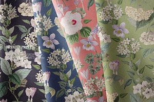 Pastel Botanical Pattern And Plants