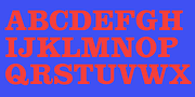 Clarendon Black, a Slab Serif Font by Wooden Type Fonts (Thumbnail 3 of 6)