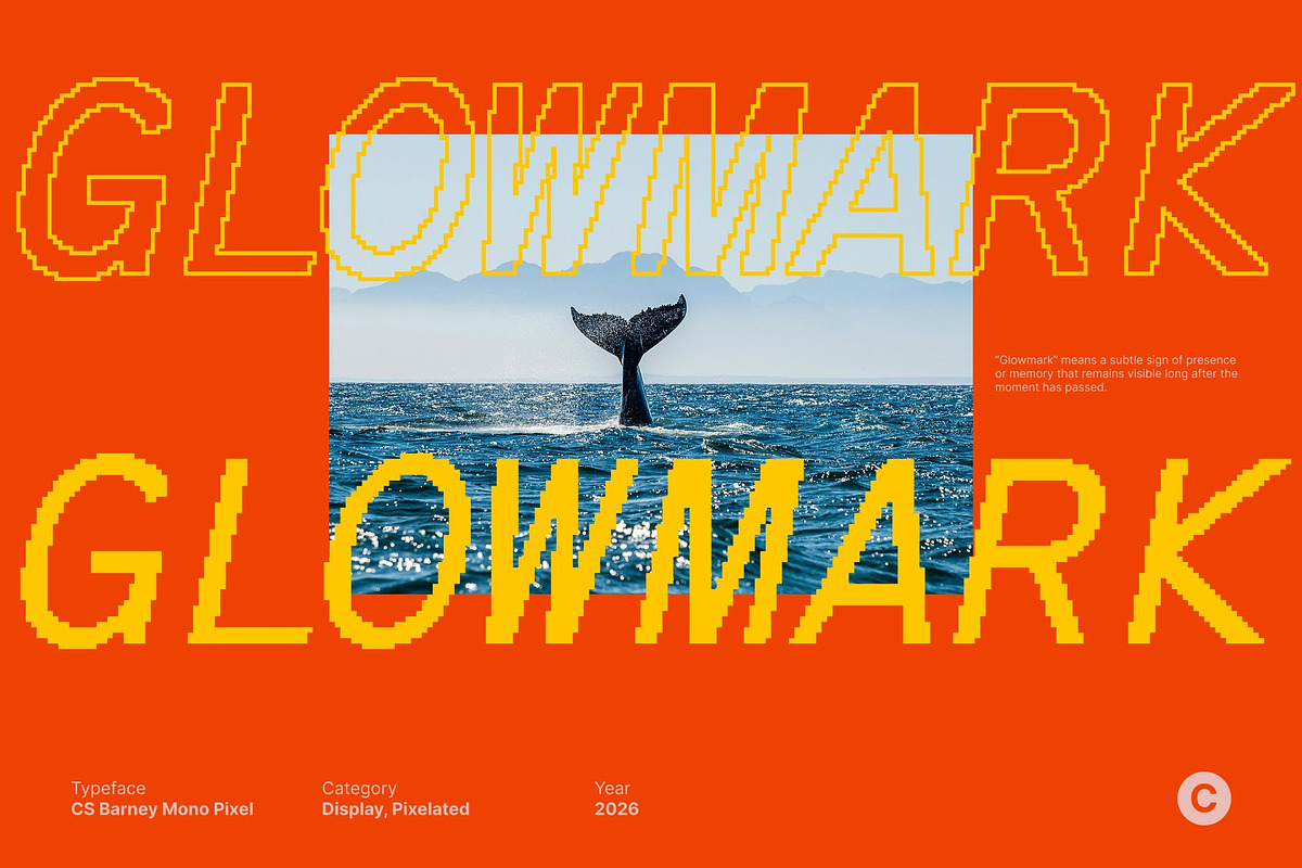 CS Barney Mono Pixel, a Sans Serif Font by Craft Supply Co. (Photo 8 of 8)