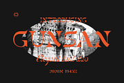 Gunsan Font Duo, a Serif Font by Damelev (Thumbnail 2 of 14)