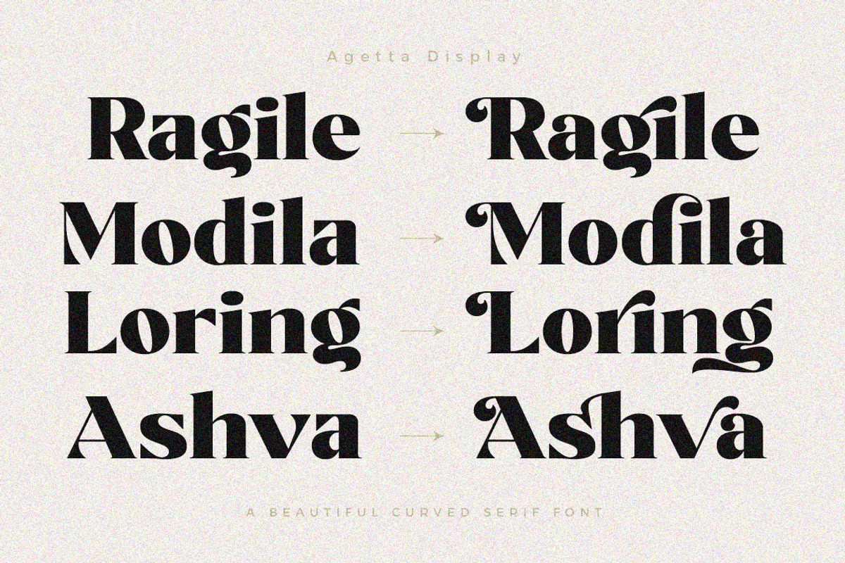 Agetta Display, a Serif Font by Dora Typefoundry (Photo 8 of 17)