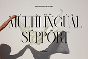 Rulinsa Modern Serif Typeface, a Serif Font by Alfinart (Thumbnail 5 of 10)