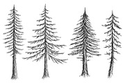 Hand Drawn Pine Trees, an Illustration by Dene Studios (Thumbnail 5 of 6)