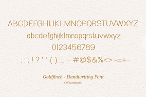 Goldfinch - Handwriting Clean Font