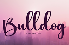 Bulldog | Script Font